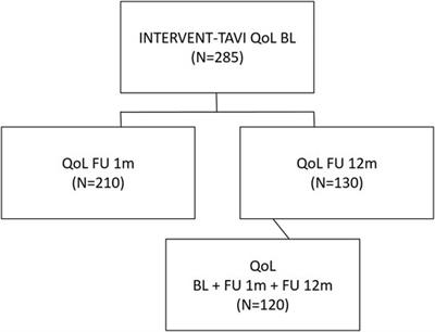 Quality of life in patients with transcatheter aortic valve implantation: an analysis from the INTERVENT project